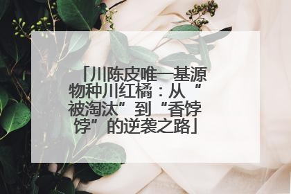 川陈皮唯一基源物种川红橘：从“被淘汰”到“香饽饽”的逆袭之路