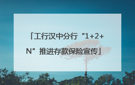 工行汉中分行“1+2+N”推进存款保险宣传