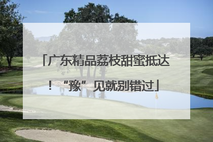 广东精品荔枝甜蜜抵达！“豫”见就别错过
