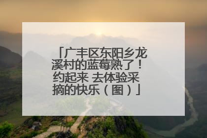 广丰区东阳乡龙溪村的蓝莓熟了！约起来 去体验采摘的快乐（图）