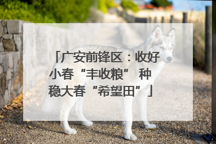 广安前锋区：收好小春“丰收粮” 种稳大春“希望田”