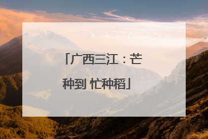 广西三江：芒种到 忙种稻