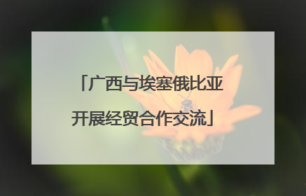广西与埃塞俄比亚开展经贸合作交流