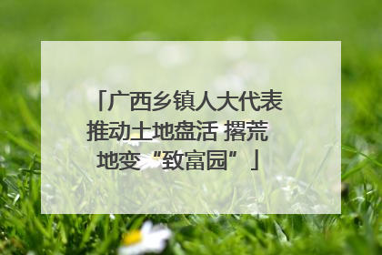 广西乡镇人大代表推动土地盘活 撂荒地变“致富园”