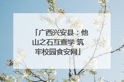 广西兴安县：他山之石互查学 筑牢校园食安网