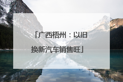 广西梧州：以旧换新汽车销售旺