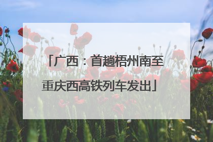 广西：首趟梧州南至重庆西高铁列车发出