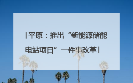 平原：推出“新能源储能电站项目”一件事改革