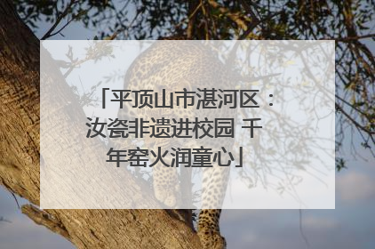 平顶山市湛河区：汝瓷非遗进校园 千年窑火润童心