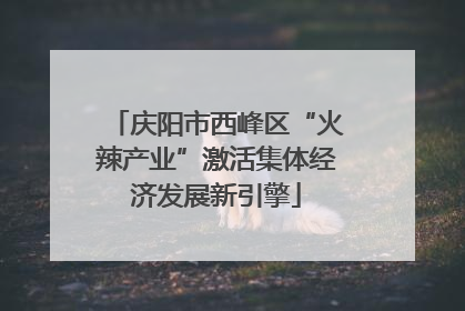 庆阳市西峰区“火辣产业”激活集体经济发展新引擎
