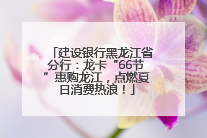 建设银行黑龙江省分行：龙卡“66节”惠购龙江，点燃夏日消费热浪！