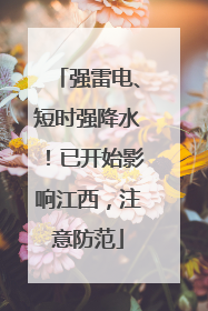 强雷电、短时强降水！已开始影响江西，注意防范