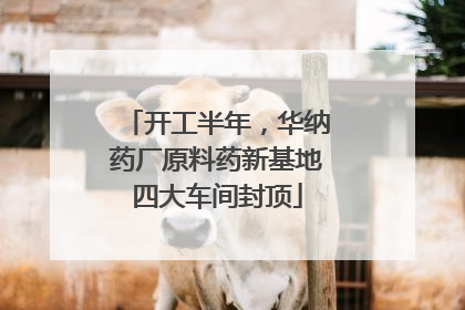 开工半年，华纳药厂原料药新基地四大车间封顶