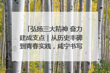 弘扬三大精神 奋力建成支点｜从历史丰碑到青春实践，咸宁书写精神传承新篇章