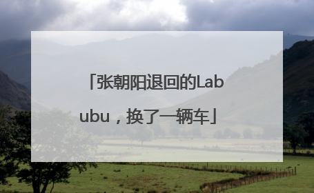 张朝阳退回的Labubu，换了一辆车