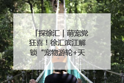 探徐汇｜萌宠党狂喜！徐汇滨江解锁“宠物游轮+天台乐园”双玩法