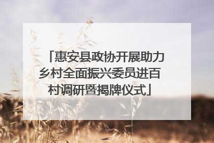 惠安县政协开展助力乡村全面振兴委员进百村调研暨揭牌仪式