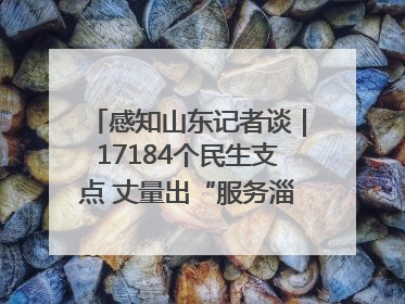 感知山东记者谈｜17184个民生支点 丈量出“服务淄博”的文明温度