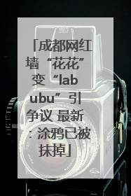 成都网红墙“花花”变“labubu”引争议 最新：涂鸦已被抹掉