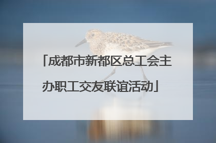 成都市新都区总工会主办职工交友联谊活动
