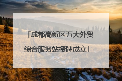 成都高新区五大外贸综合服务站授牌成立
