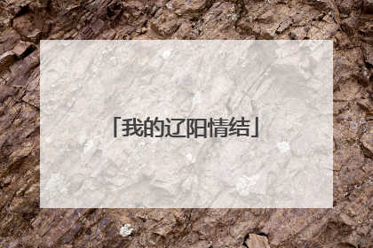 我的辽阳情结