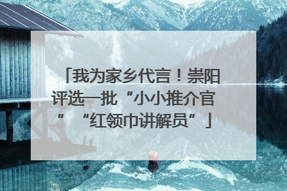 我为家乡代言！崇阳评选一批“小小推介官”“红领巾讲解员”