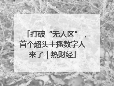 打破“无人区”，首个超头主播数字人来了｜热财经