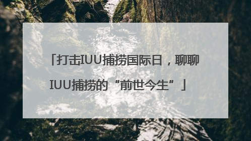 打击IUU捕捞国际日，聊聊IUU捕捞的“前世今生”
