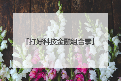 打好科技金融组合拳