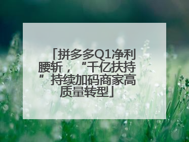 拼多多Q1净利腰斩，“千亿扶持”持续加码商家高质量转型