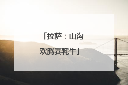 拉萨：山沟欢腾赛牦牛