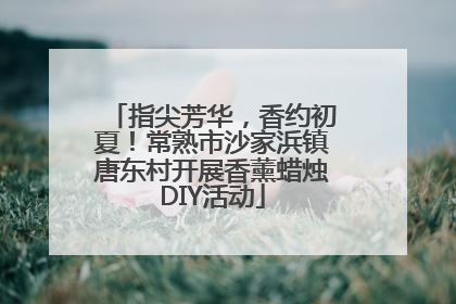 指尖芳华，香约初夏！常熟市沙家浜镇唐东村开展香薰蜡烛DIY活动