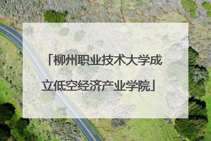 柳州职业技术大学成立低空经济产业学院