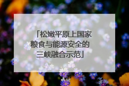 松嫩平原上国家粮食与能源安全的三峡融合示范