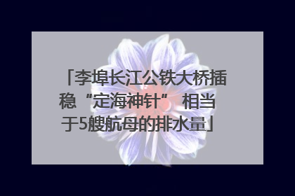 李埠长江公铁大桥插稳“定海神针” 相当于5艘航母的排水量