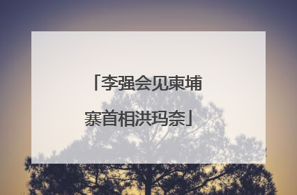 李强会见柬埔寨首相洪玛奈
