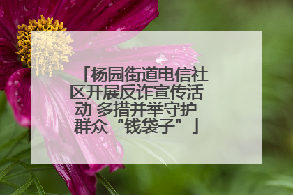 杨园街道电信社区开展反诈宣传活动 多措并举守护群众“钱袋子”