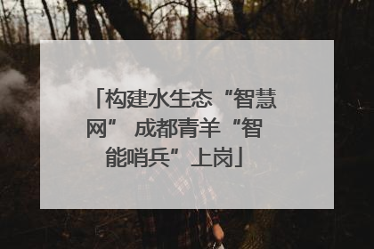 构建水生态“智慧网” 成都青羊“智能哨兵”上岗