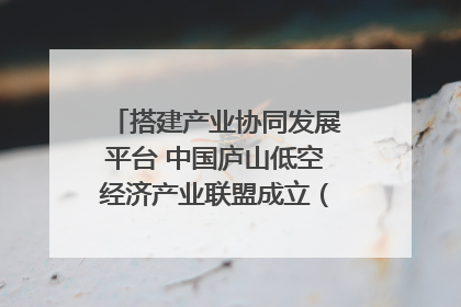 搭建产业协同发展平台 中国庐山低空经济产业联盟成立（组图｜视频）