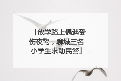 放学路上偶遇受伤夜鹭，聊城三名小学生求助民警