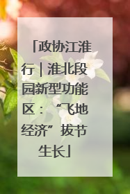 政协江淮行｜淮北段园新型功能区：“飞地经济”拔节生长
