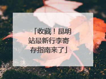收藏！昆明站最新行李寄存指南来了