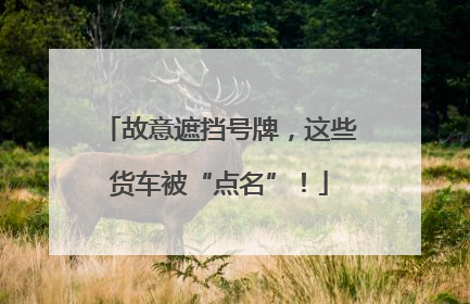 故意遮挡号牌，这些货车被“点名”！
