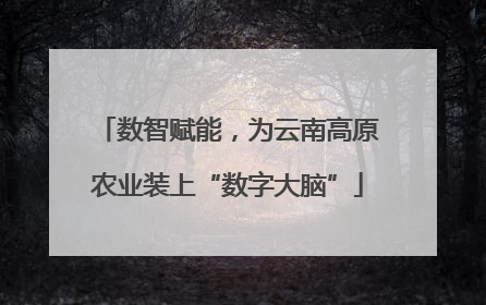 数智赋能，为云南高原农业装上“数字大脑”