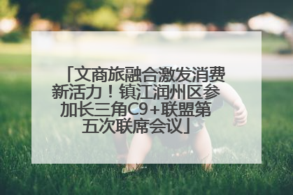 文商旅融合激发消费新活力！镇江润州区参加长三角C9+联盟第五次联席会议