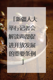 新疆人大举行记者会解读两部促进开放发展的重要条例