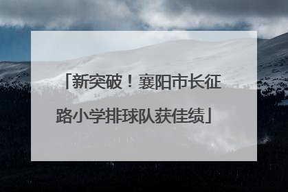 新突破！襄阳市长征路小学排球队获佳绩