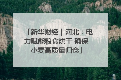 新华财经｜河北：电力赋能粮食烘干 确保小麦高质量归仓