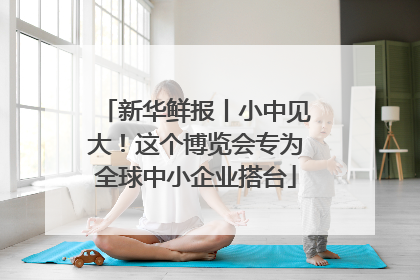 新华鲜报丨小中见大！这个博览会专为全球中小企业搭台